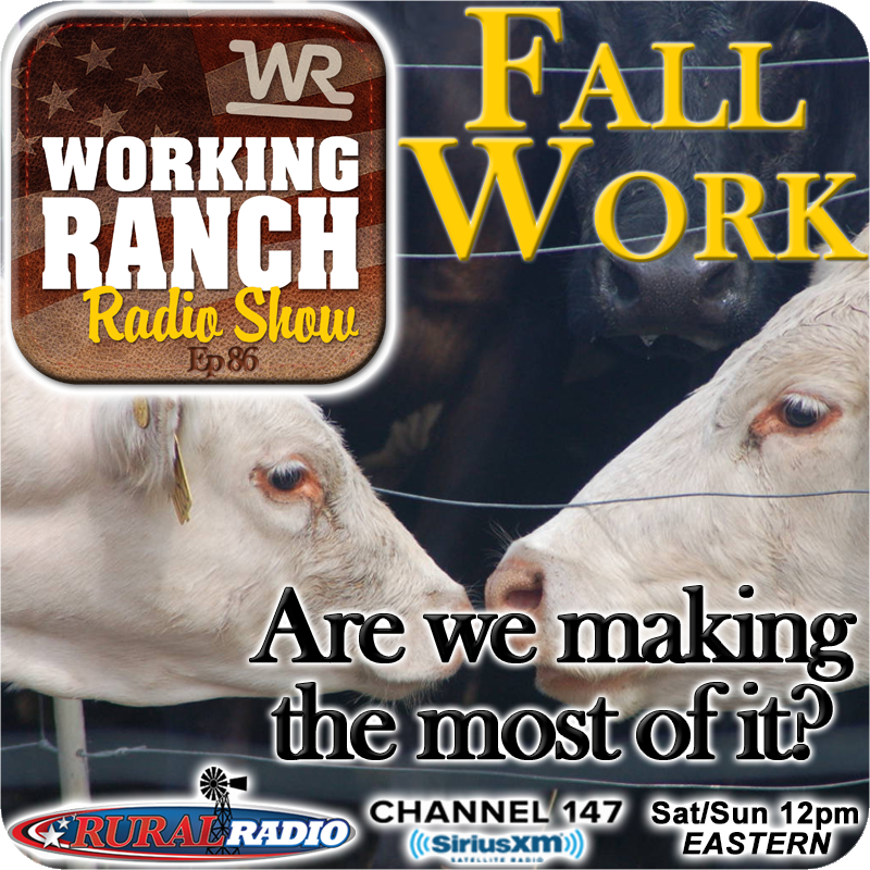 Ep 87: Fall Cow Work… Are We Making the Most of It?