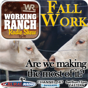 Ep 87: Fall Cow Work… Are We Making the Most of It?