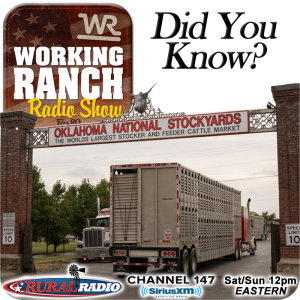 Ep 89: Oklahoma National Stockyards: Did You Know…