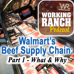 Ep 8: Understanding Walmart’s Beef Supply Chain: Part 1 – What and Why