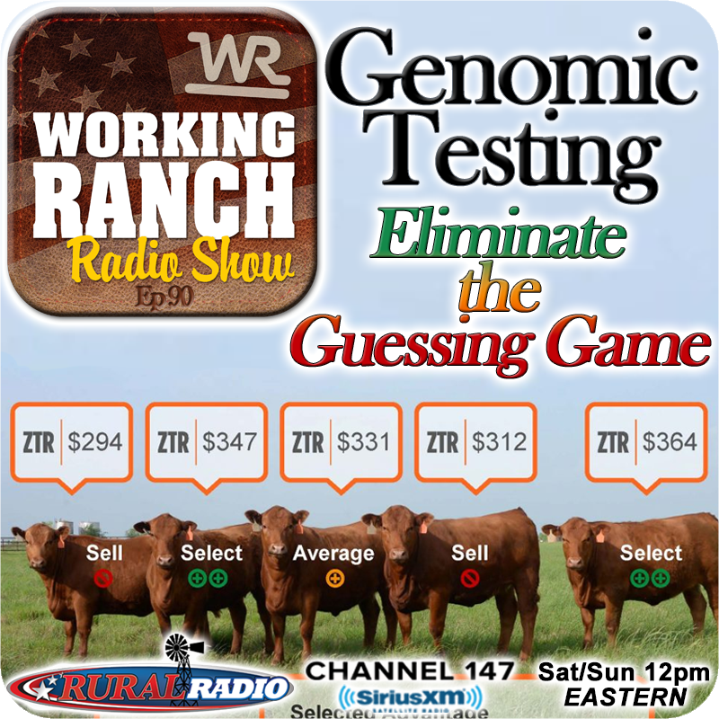 Ep 90: Genomic Testing: Eliminate the Guessing Game