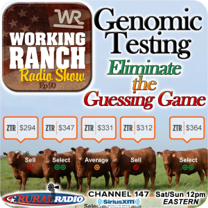 Ep 90: Genomic Testing: Eliminate the Guessing Game