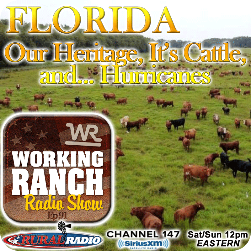 Ep 91: Florida… Our Heritage, It’s Cattle, and Hurricanes