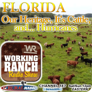 Ep 91: Florida… Our Heritage, It’s Cattle, and Hurricanes
