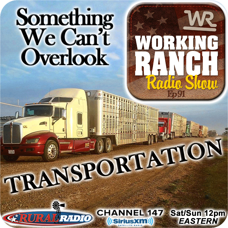 Ep 92: Transportation… Something You Can’t Overlook