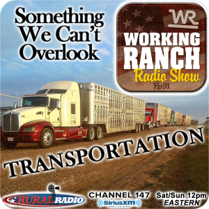 Ep 92: Transportation… Something You Can’t Overlook