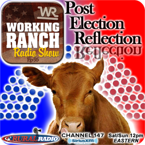 Ep 95: Post Election Reflection for Ranching