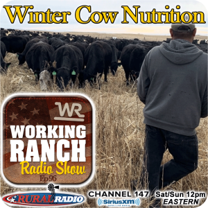 Ep 96: Winter Cow Nutrition