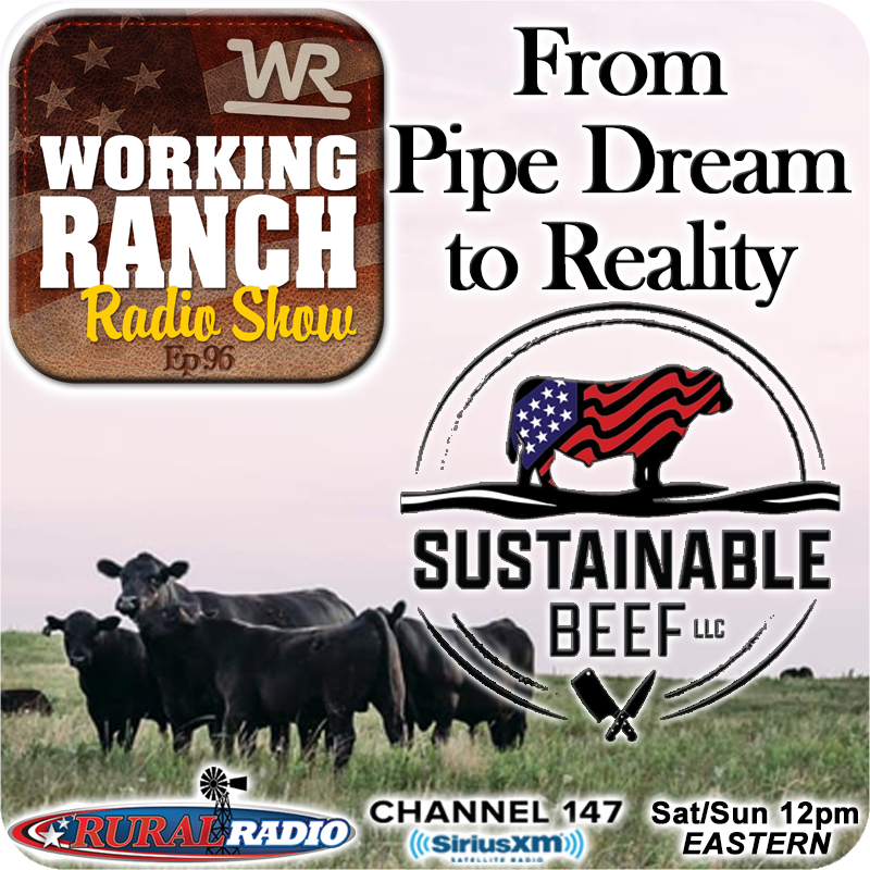 Ep 97: Sustainable Beef LLC… from Pipe Dream to Reality