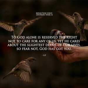 Homily for July 12 2025