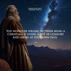 Homily for June 30 2025