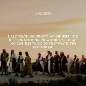 Homily for May 10 2025