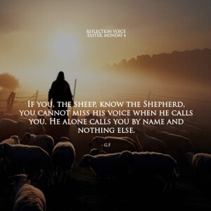 Homily for May 12 2025