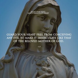 Homily for June 28 2025