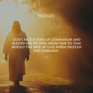 Homily for July 8 2025