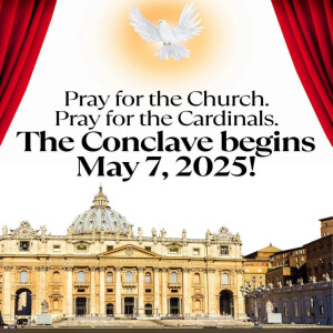 Homily for May 7 2025