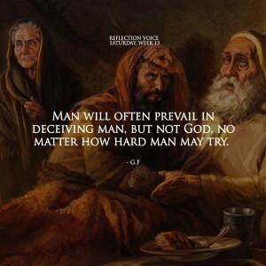 Homily for July 5 2025