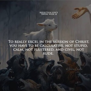 Homily for July 11 2025