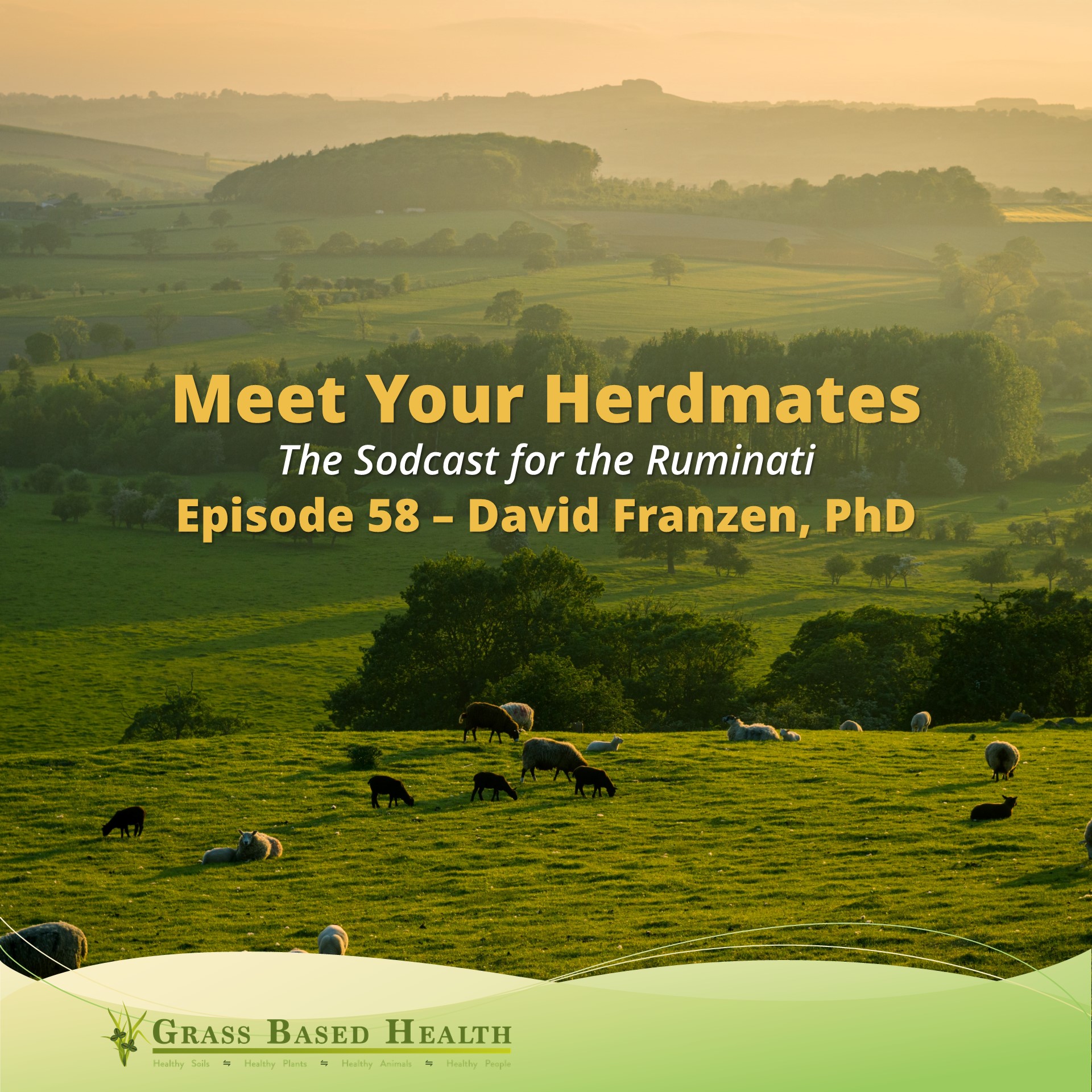58 David Franzen, PhD