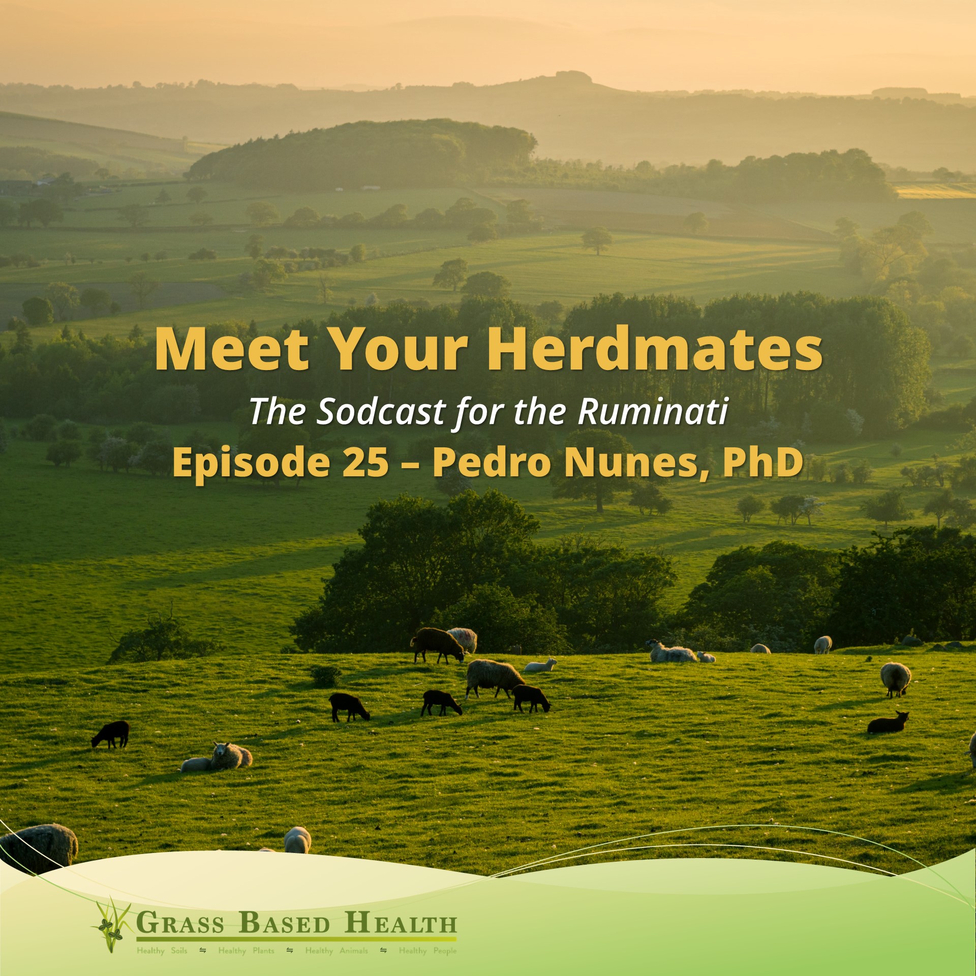 The Meet Your Herdmates Sodcast