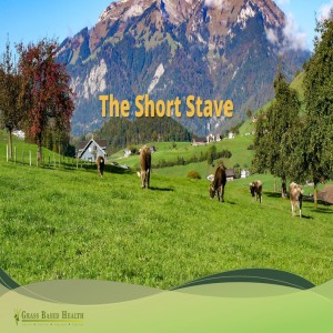 The Short Stave