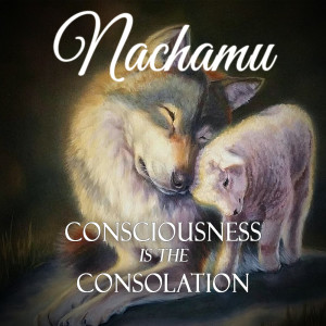 Nachamu Consciousness is the Consolation