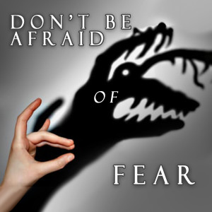 Don't Be Afraid of Fear