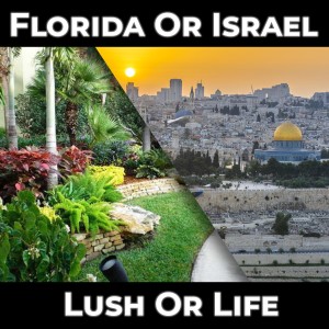 Florida Or Israel  Lush Or Life