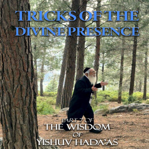 The Wisdom of Yishuv Hada'as Part 7 - Tricks of the Divine Presence