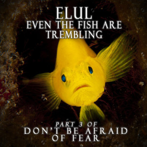 ELUL    Even The Fish  Are Trembling | Part 3 of  Don't Be Afraid of FEAR