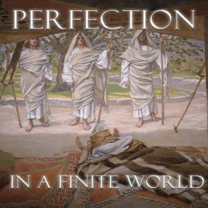 PERFECTION IN A FINITE WORLD