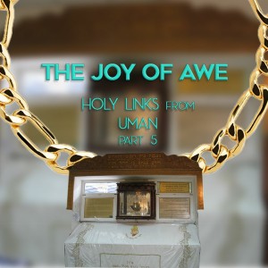 THE JOY OF AWE HOLY LINKS From UMAN Part 5