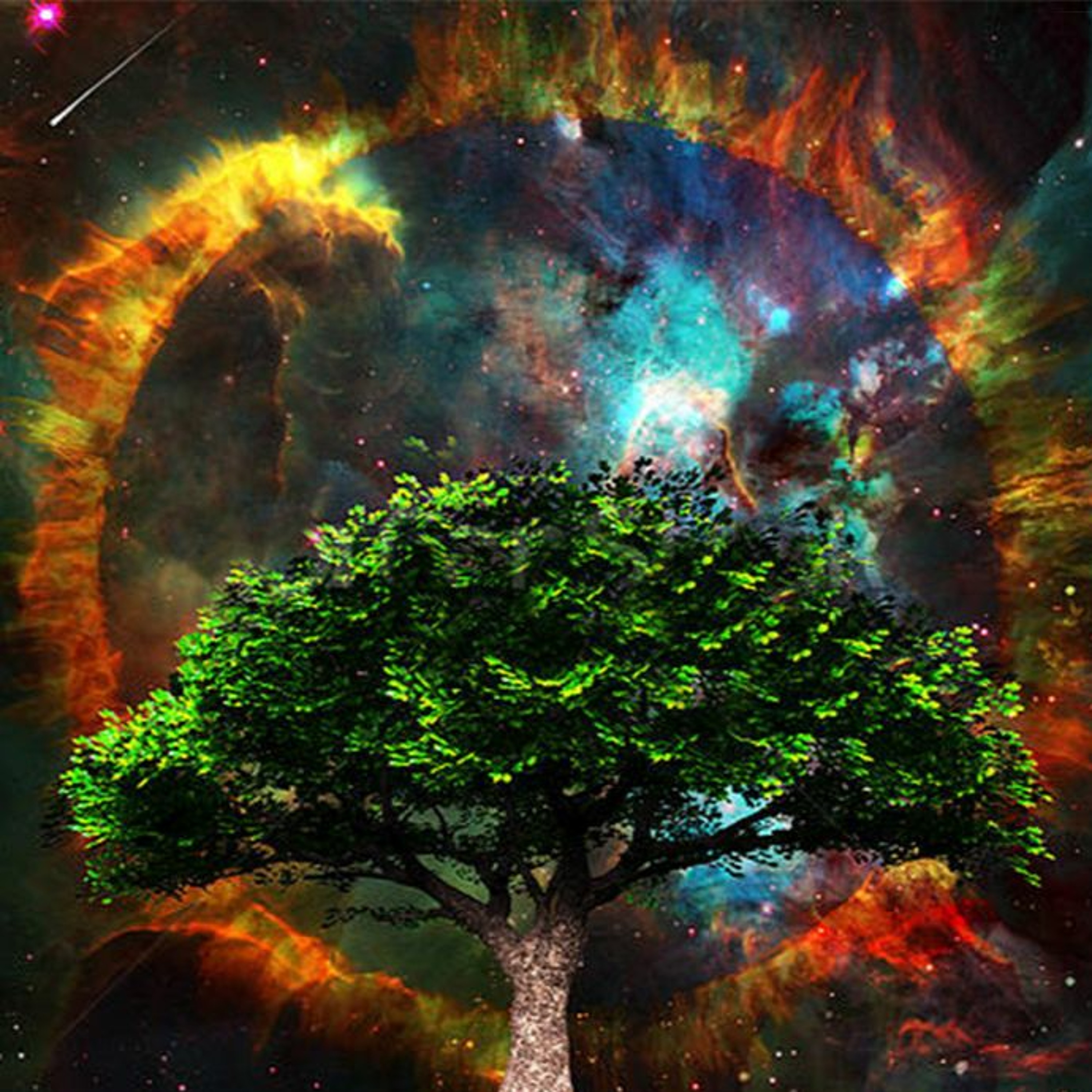 Living Aligned Podcast
