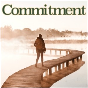 Commitment (Old and New Map) - The Trainer Path