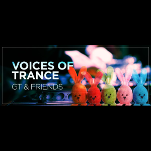 Voices of Trance - Tribute to DJ GT - Couchman & Carver All Vinyl, Trance Classics