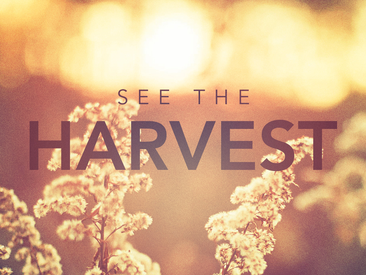 See The Harvest // Pastor Ben Hackbarth