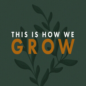 THIS IS HOW WE GROW // Pastor Mark Hackbarth