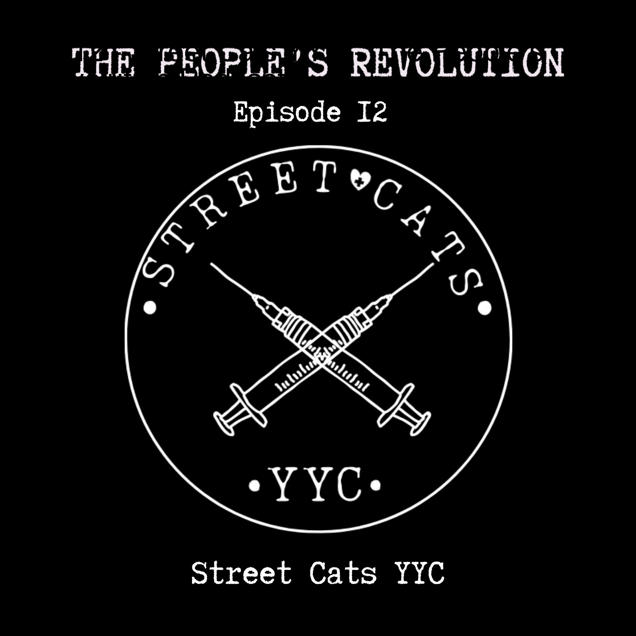 The People‘s Revolution