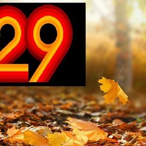 PROGRAM 29 - AUTUMN