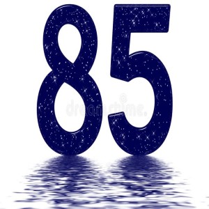 PROGRAM 85