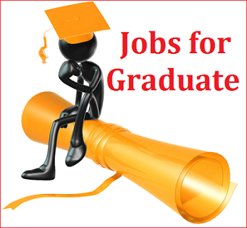 Graduation (B.A/B.Com/B.sc) Jobs India 2016