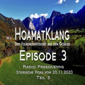 Radio Freequenns Steirische Roas vom 20.11.2020 Teil 3