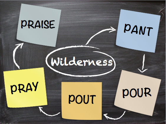 5 Stages of Wilderness
