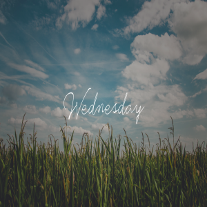 Creation - Wednesday