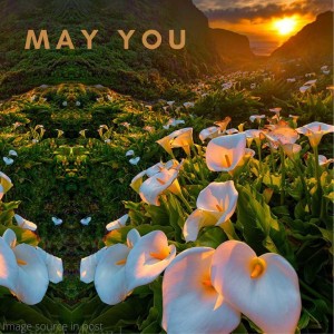 231. Blessing: May you take moments to savour the sunlight…