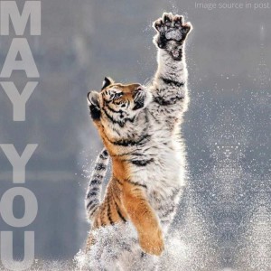 234. Blessing: May you high five in celebration and acknowledgement today!