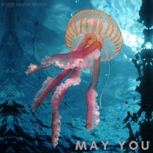 239. Blessing: May you ’notice the blue skies..the butterflies...’ thanks Macy Gray...