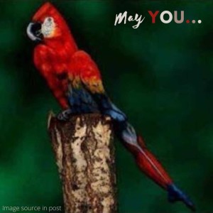 247. Blessing: May you notice the conclusions you are jumping to.