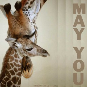 252. Blessing: May you savour tender moments with loved ones.