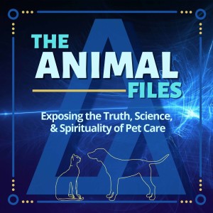 The Animal Files Podcast Trailer